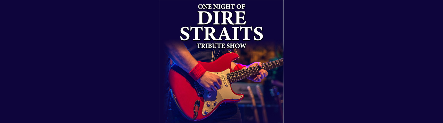 One Night of Dire Straits - Tribute Show