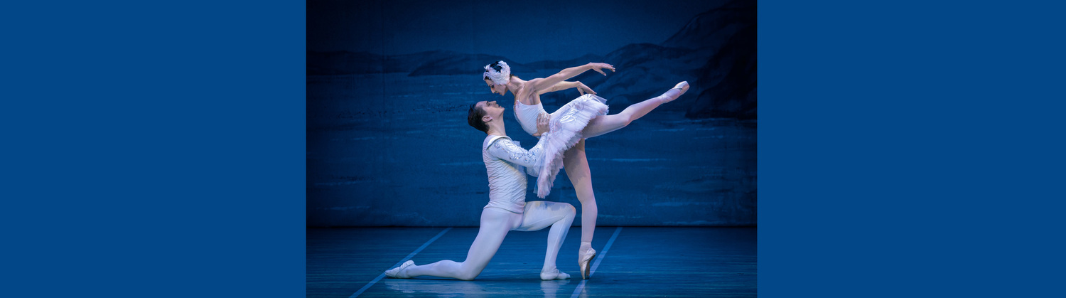 Schwanensee - International Festival Ballet & Orchestra