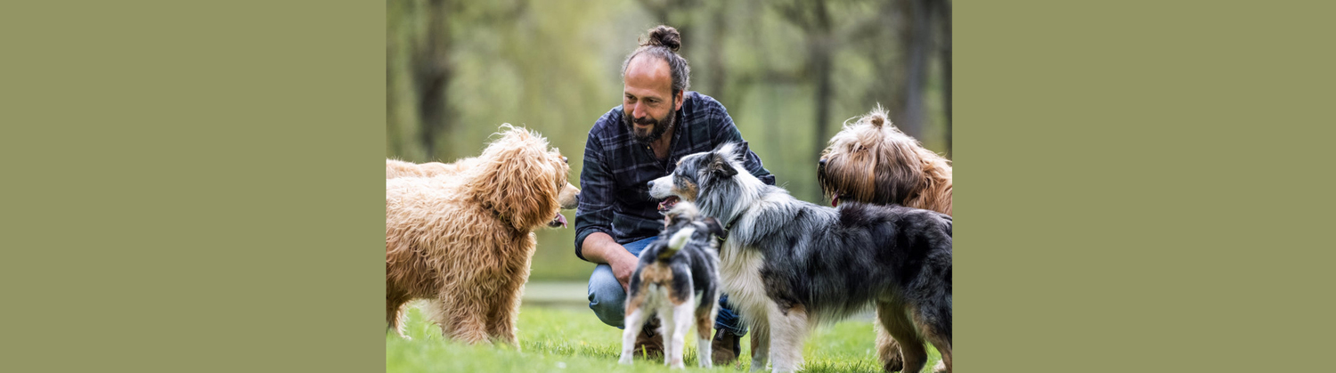 Sami El Ayachi - Der zugewandte Hund!
